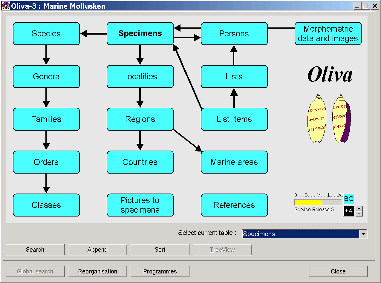 Oliva